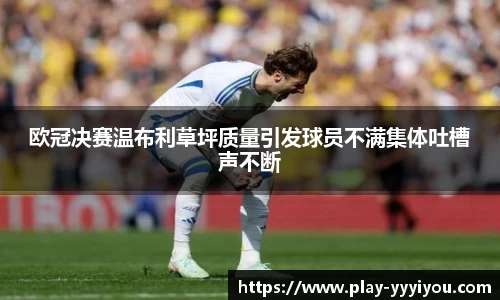 yy易游体育官网